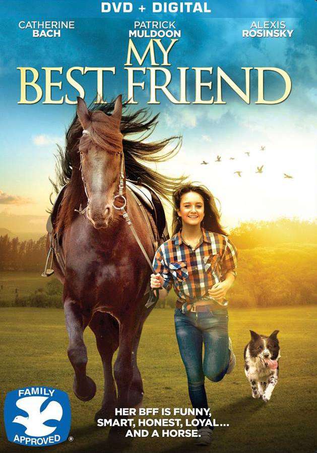 مشاهدة فيلم My Best Friend 2017 مترجم مشاهدة فيلم My Best Friend 2017 مترجم