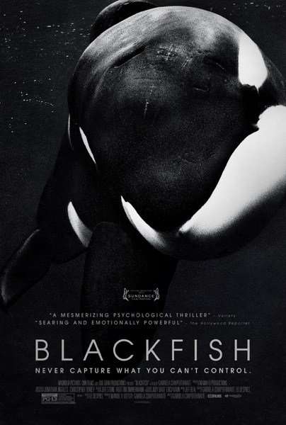 مشاهدة فيلم Blackfish 2013 مترجم مشاهدة فيلم Blackfish 2013 مترجم