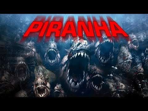مشاهدة فيلم Piranha 2010 مترجم مشاهدة فيلم Piranha 2010 مترجم