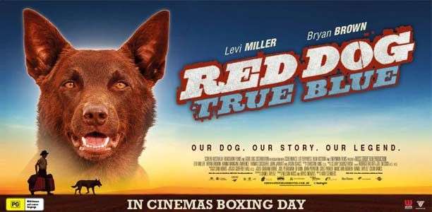مشاهدة فيلم Red Dog True 2016 مترجم مشاهدة فيلم Red Dog True 2016 مترجم