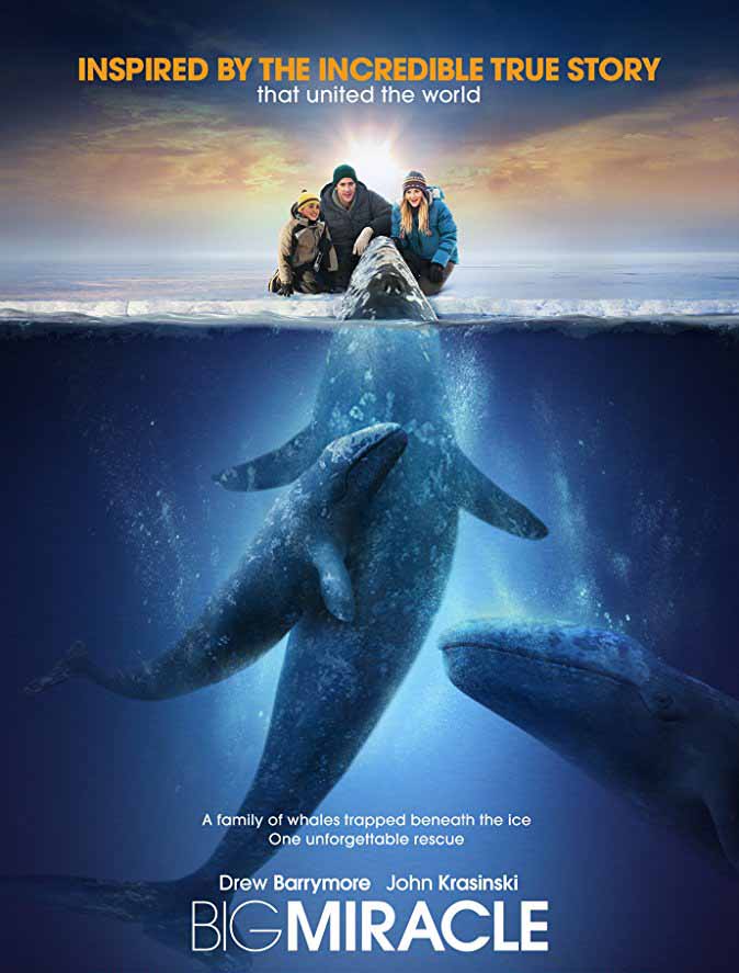 مشاهدة فيلم Big Miracle 2012 مترجم مشاهدة فيلم Big Miracle 2012 مترجم