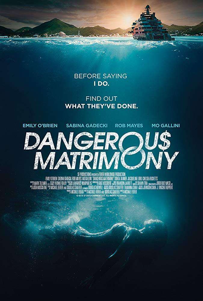مشاهدة فيلم Dangerous Matrimony 2018 مترجم مشاهدة فيلم Dangerous Matrimony 2018 مترجم