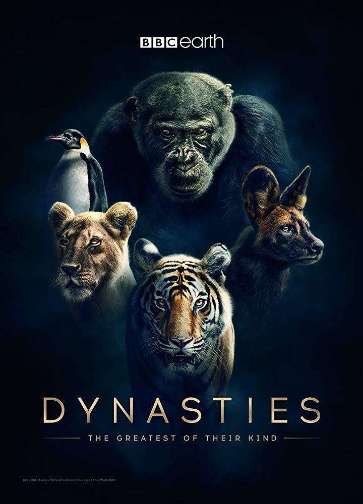 مسلسل Dynasties الموسم الاول الحلقة 4 مترجم مسلسل Dynasties الموسم الاول الحلقة 4 مترجم