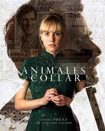 Animales sin collar Animales sin collar