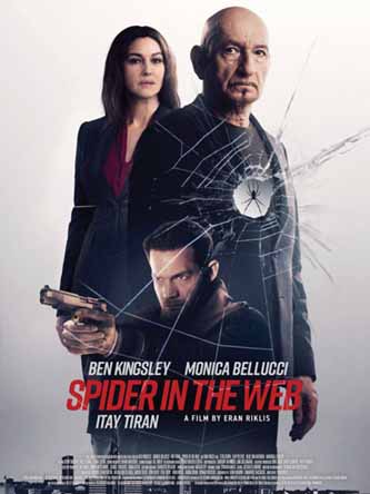 Spider in the Web Spider in the Web
