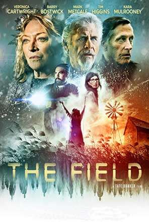 the field the field