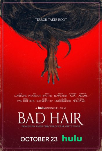 Bad Hair Bad Hair