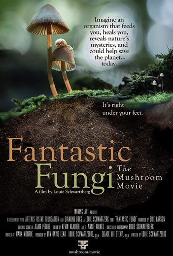 Fantastic Fungi Fantastic Fungi