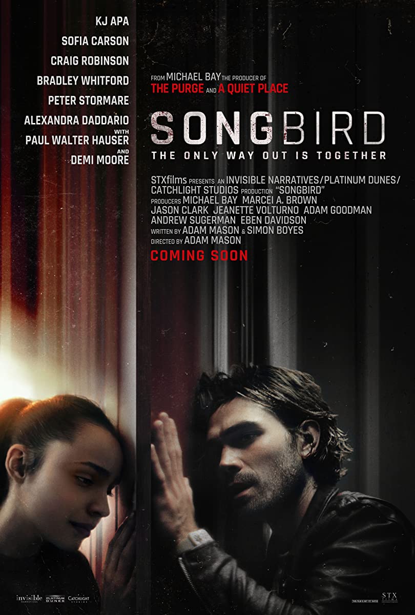 songbird songbird