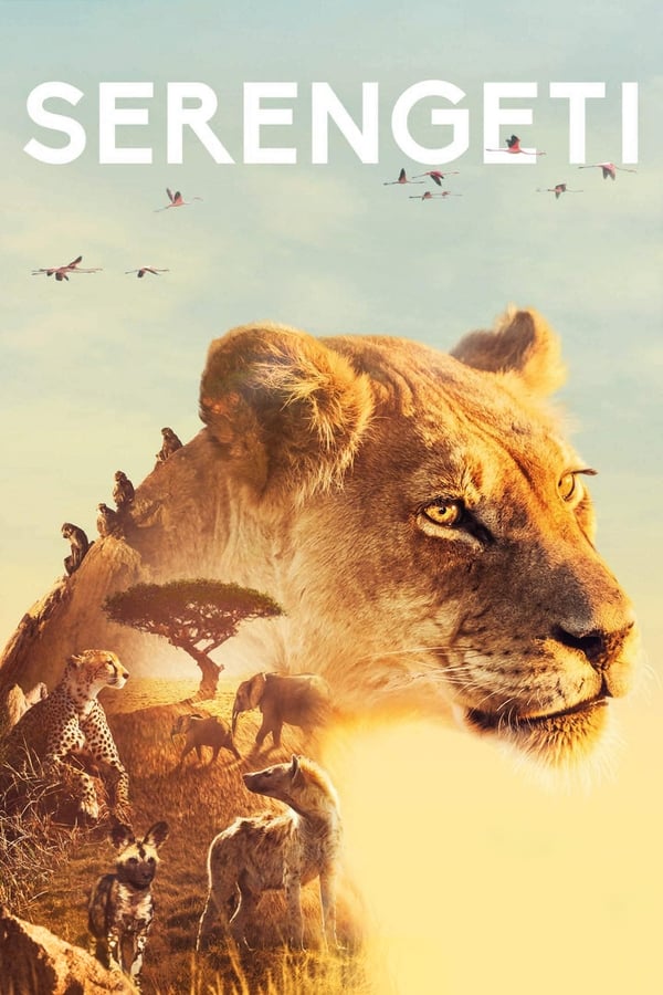 مسلسل Serengeti مسلسل Serengeti