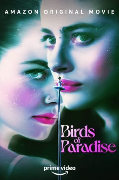 Birds of Paradise Birds of Paradise