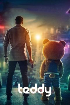 Teddy Teddy
