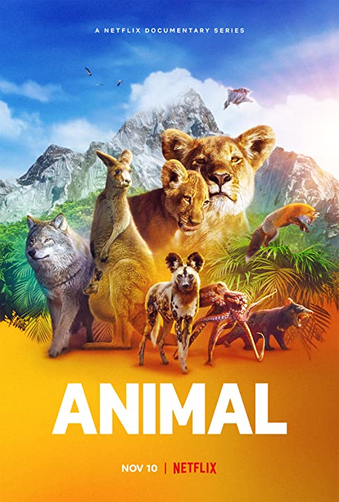 مسلسل Animal مسلسل Animal