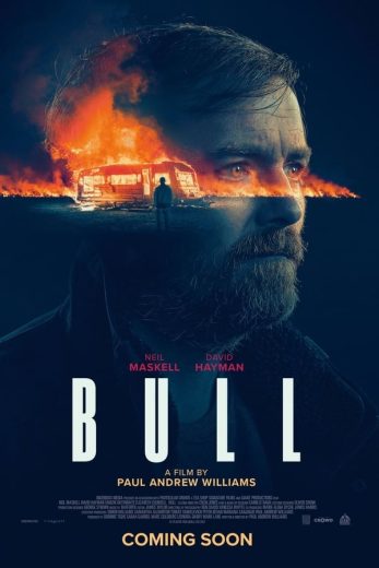 Bull Bull