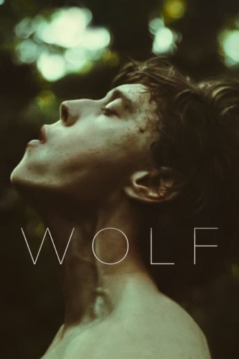 Wolf Wolf