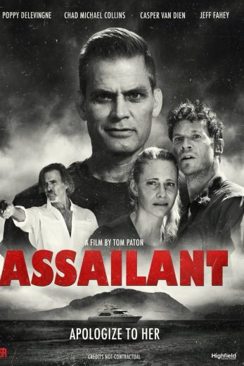 Assailant Assailant