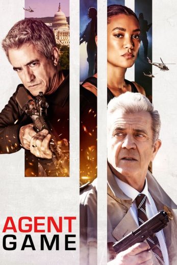 Agent Game Agent Game