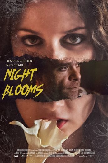 Night Blooms Night Blooms