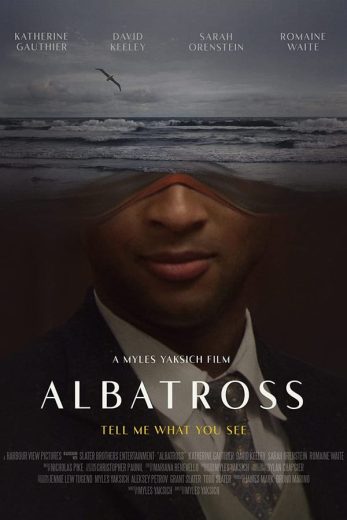Albatross Albatross