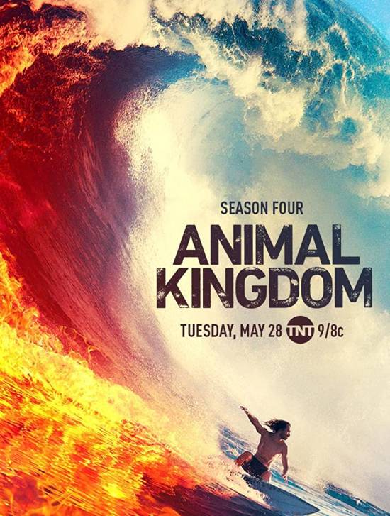 Animal Kingdom Animal Kingdom