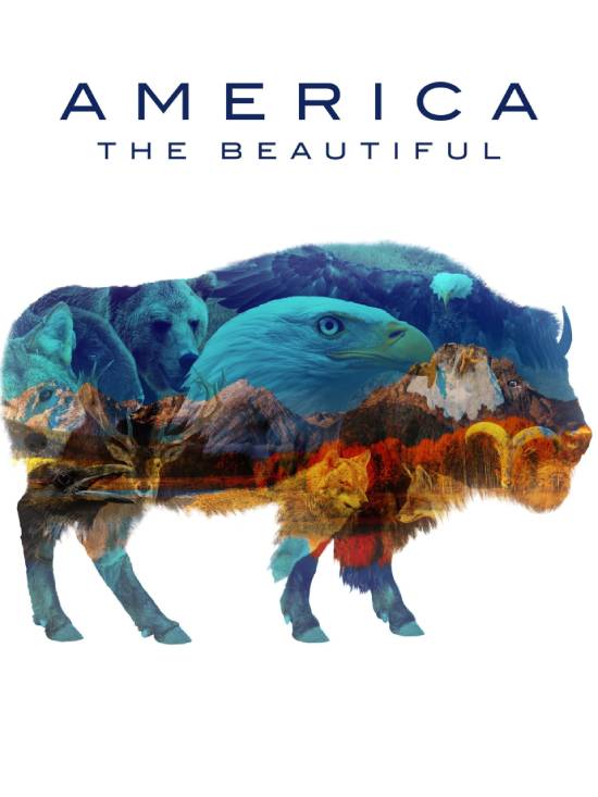 مسلسل America the Beautiful مسلسل America the Beautiful