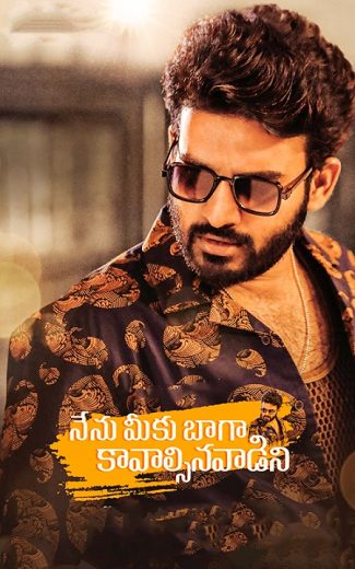 Nenu Meeku Baaga Kavalsinavaadini Nenu Meeku Baaga Kavalsinavaadini