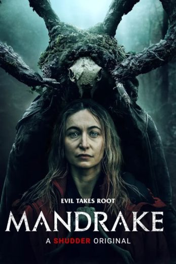 Mandrake Mandrake