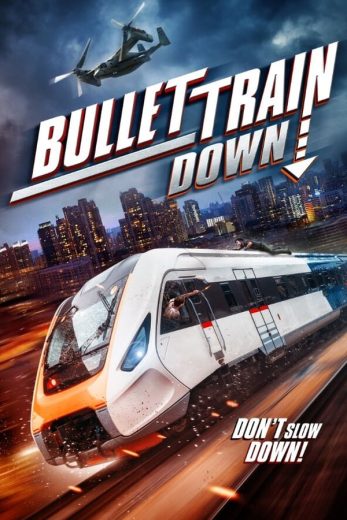 Bullet Train Down Bullet Train Down