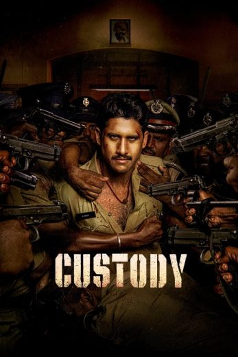 custody custody