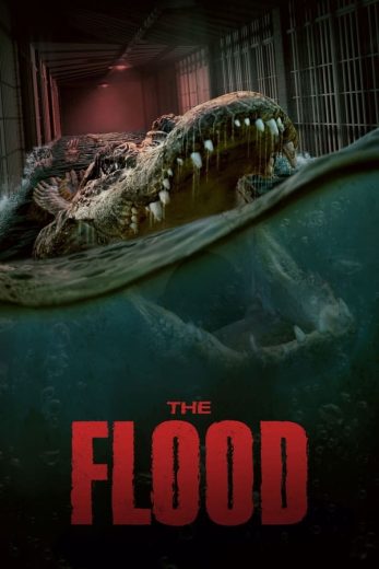 The Flood The Flood