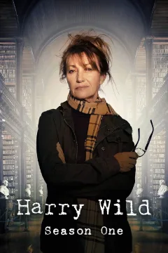 مسلسل Harry Wild مسلسل Harry Wild