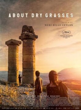 About Dry Grasses About Dry Grasses