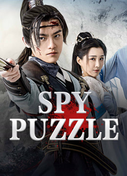 Spy Puzzle Spy Puzzle